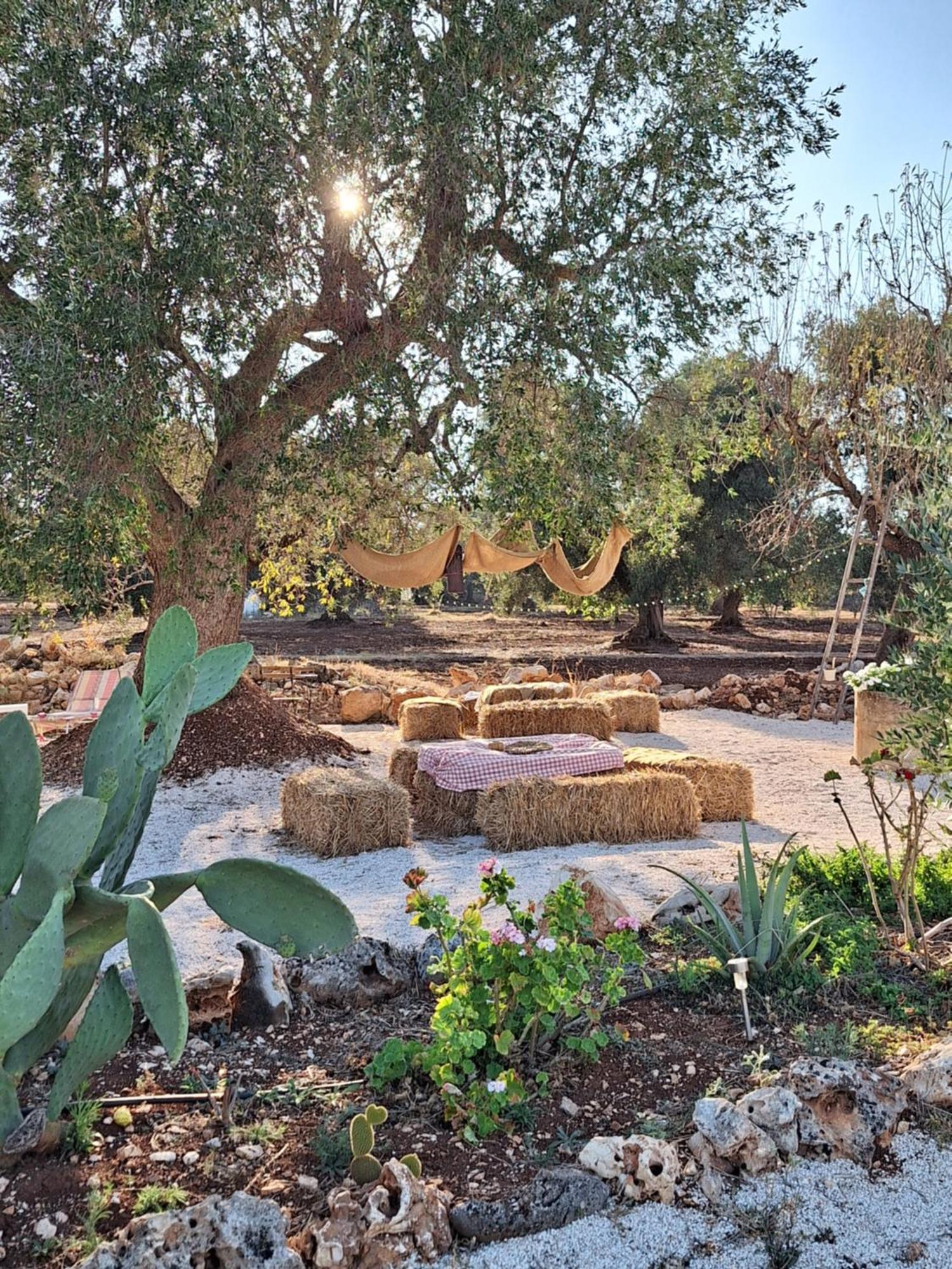 Residenza Anima Mediterranea Francavilla Fontana Zewnętrze zdjęcie