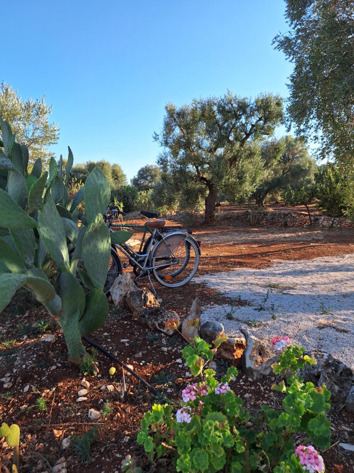 Residenza Anima Mediterranea Francavilla Fontana Zewnętrze zdjęcie