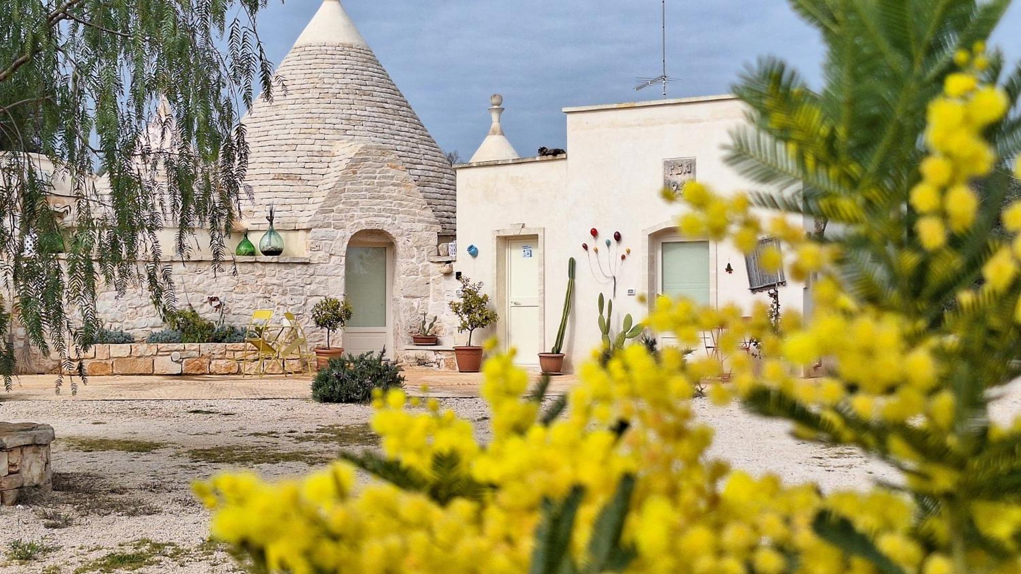 Residenza Anima Mediterranea Francavilla Fontana Zewnętrze zdjęcie